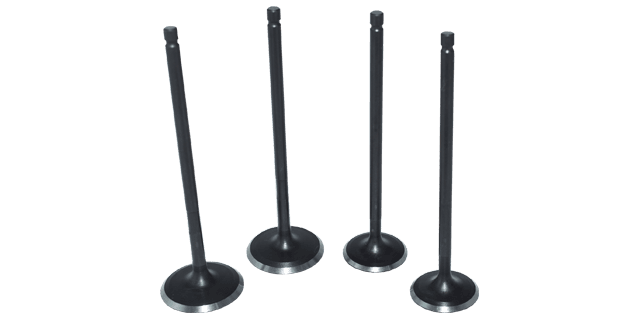 KIT VALVULAS PULSAR 200NS/  KTM 200 (4 PIECES)